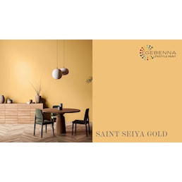 SAINT SEIYA GOLD.jpg